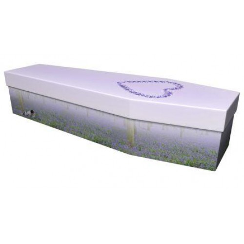 The Bluebell Heart - Premium Cardboard Picture Coffin